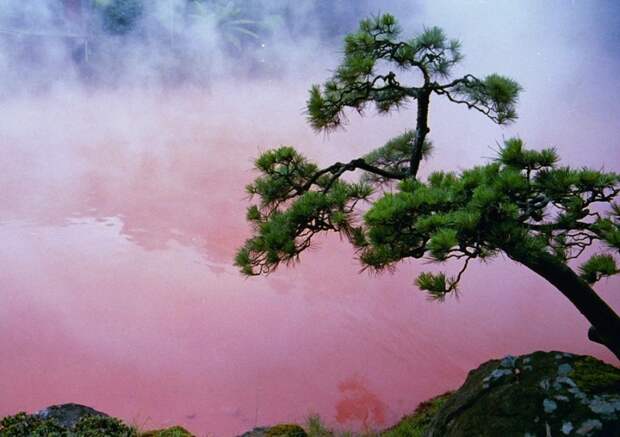 Кровавое озеро: природный феномен