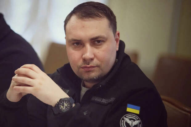 «Мы пользователи, не более того»: Буданов раскритиковал оборонку Украины