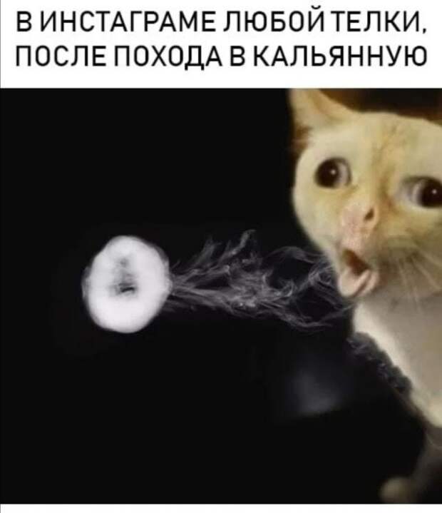 Приколы про современных девушек