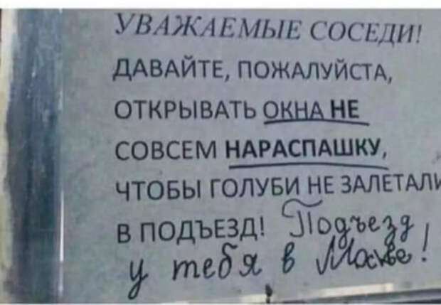 Объявление писал человек, который говорит “шаурма».