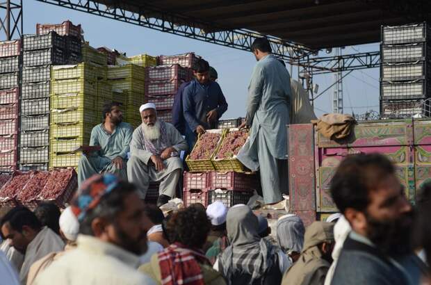Экономика из пепла: Афганистан хочет изменить правила игры