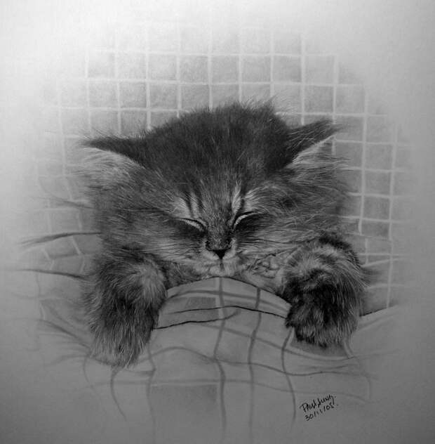 Рисунки карандашом