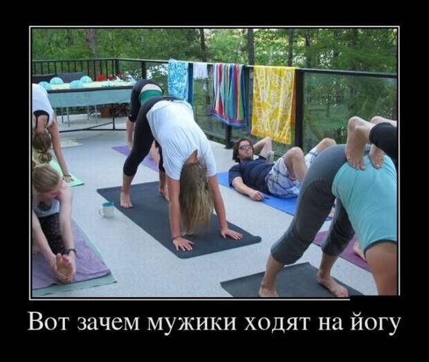 Демотиваторы