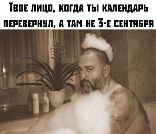 Подборка картинок. Дневной выпуск (30 фото)