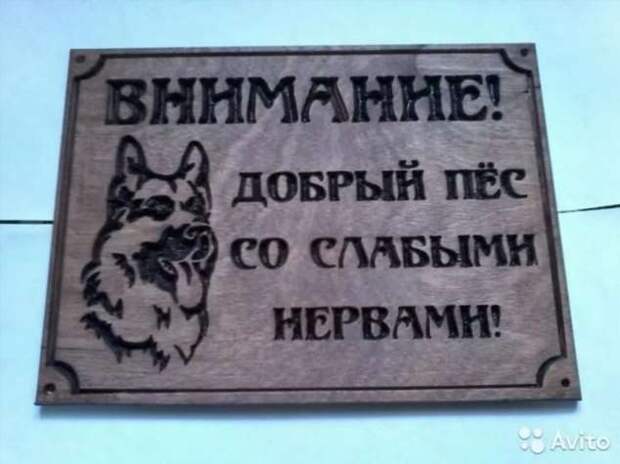 Предупреждающие таблички. Прикольные. Подборкаchert-poberi-tablichki-26430901072020-3 картинка chert-poberi-tablichki-26430901072020-3