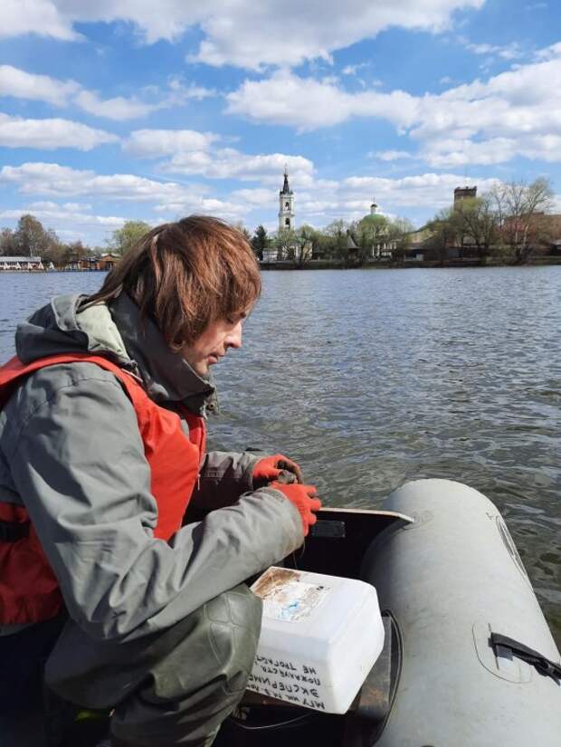 Источник фото: НОШ МГУ