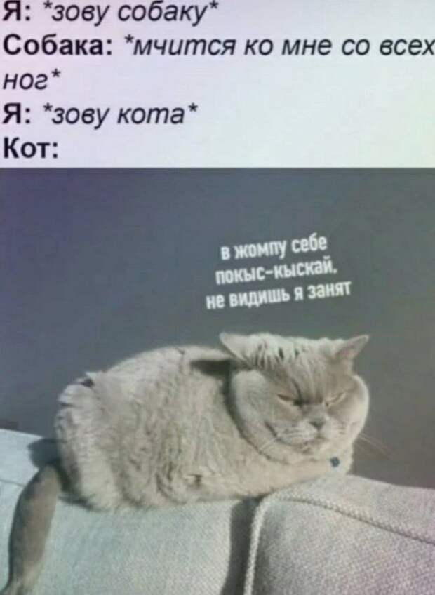 1603998153_7.jpg
