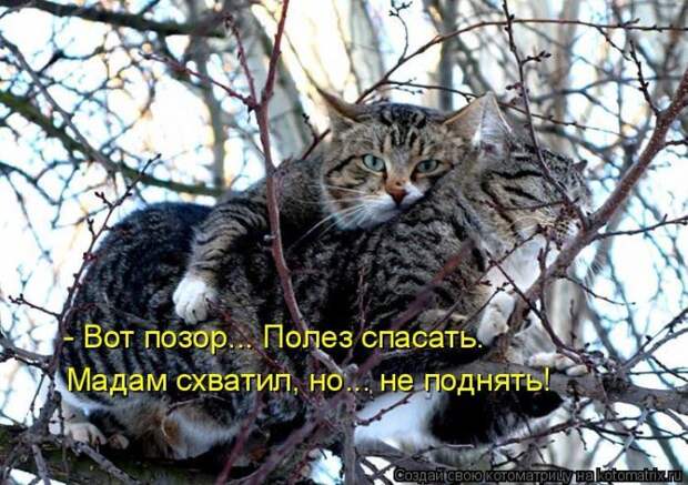 Мысли вслух :)