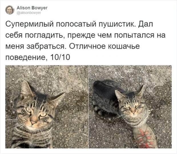 www.vsyako.net