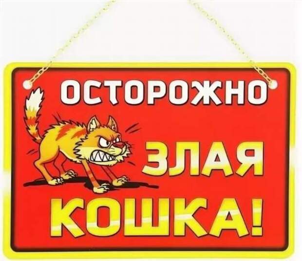 Предупреждающие таблички. Прикольные. Подборкаchert-poberi-tablichki-26430901072020-2 картинка chert-poberi-tablichki-26430901072020-2