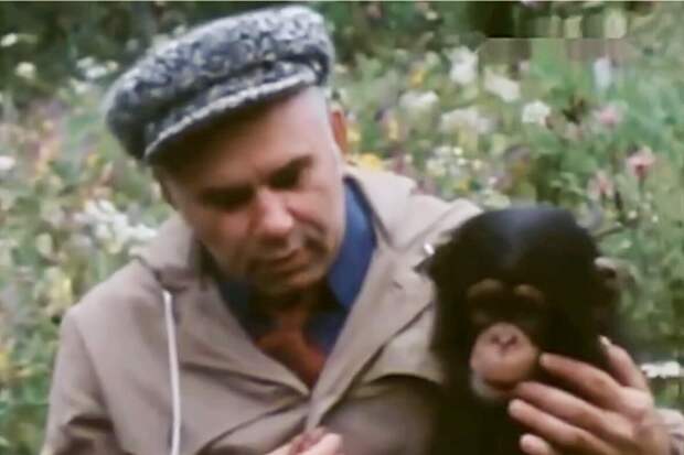 Кадр из программы «В мире животных», ведущий Василий Песков, 1970-е гг.