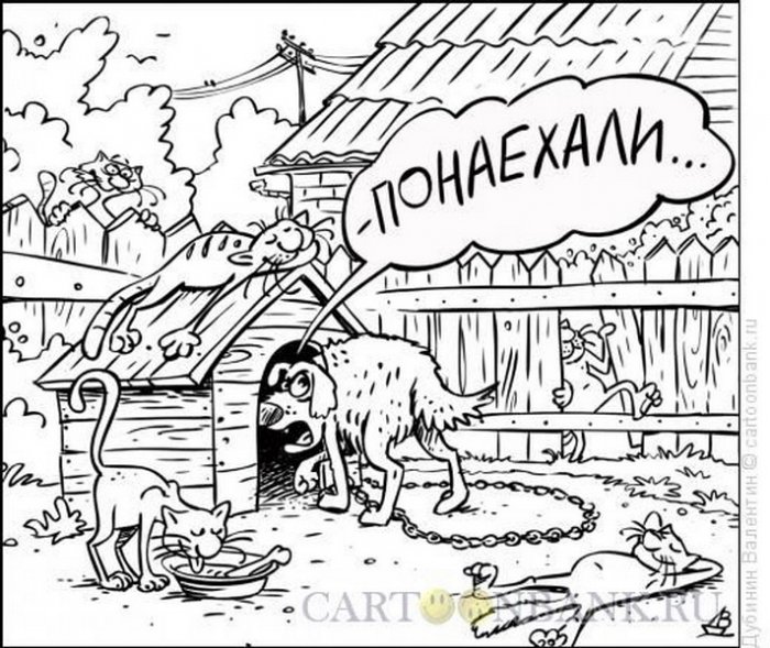 Забавные карикатуры Забавные карикатуры