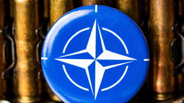 Премьер-министр Польши Туск признал, что на Украине присутствуют солдаты НАТО