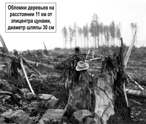 Самая высокая волна СамыйСамый, история, явления природы