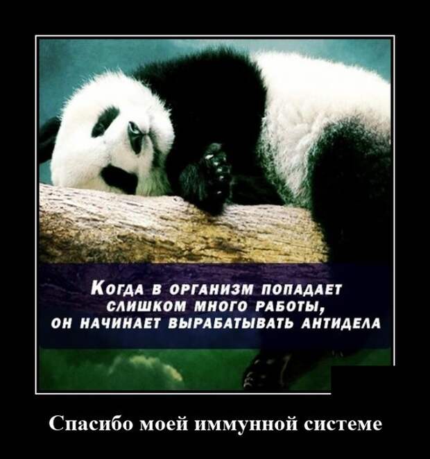 Демотиваторы 17 августа 2020