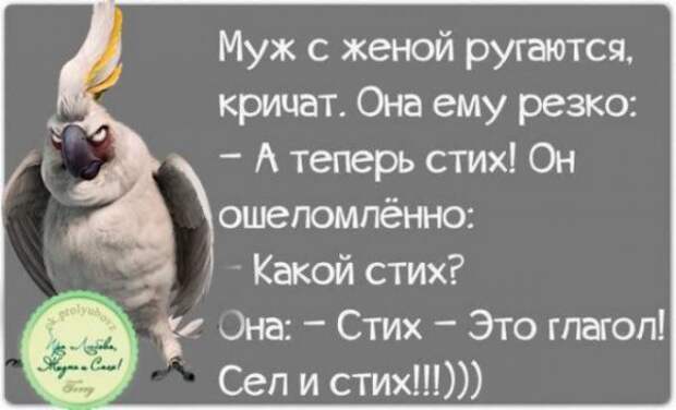 Веселые мысли в картинках для хорошего настроения на весь день