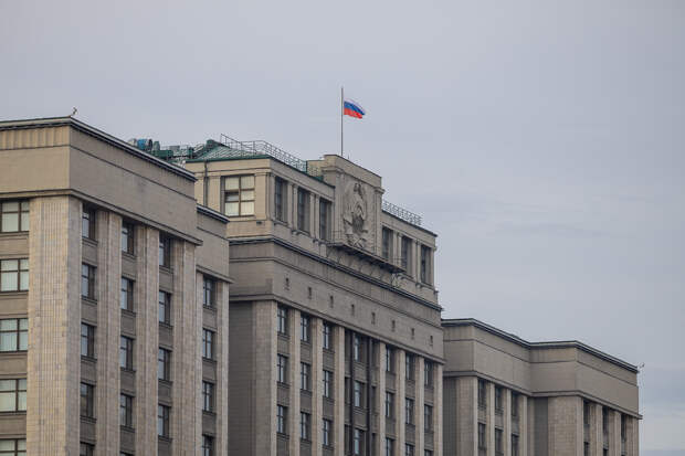 В Госдуме поддержали идею сделать импортные товары дороже