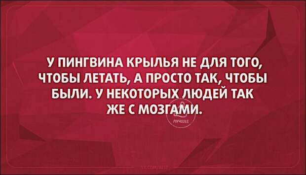 Жена нового русского заподозрила, что муж изменяет ей с горничной Жена нового русского заподозрила, что муж изменяет ей с горничной