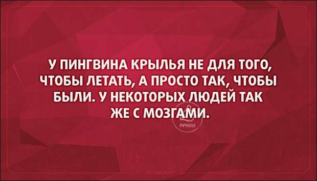 Жена нового русского заподозрила, что муж изменяет ей с горничной