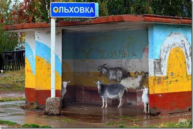 Best_of_Russia_23 Best_of_Russia_23