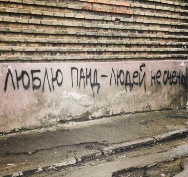Панды классные. | Фото: Subscribe.Ru.