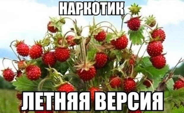 Тема такая!