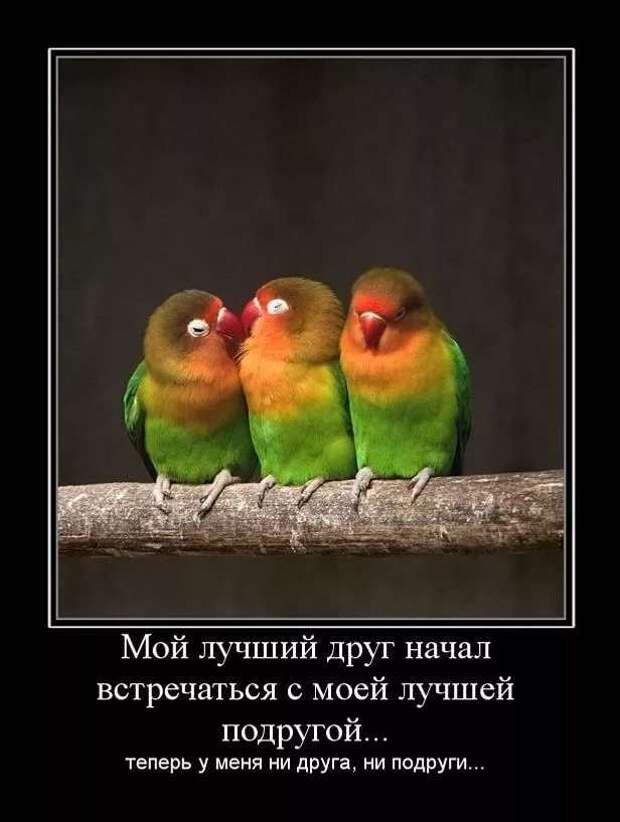 Прикольные демотиваторы с надписями. Подборка chert-poberi-dem-chert-poberi-dem-30580603092020-9 картинка chert-poberi-dem-30580603092020-9
