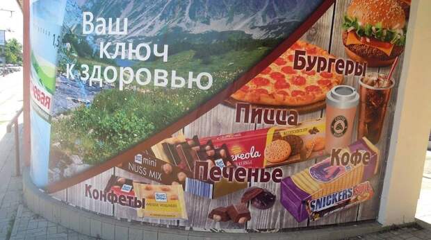 20 картинок недели и белки, которые на самом деле не впали в спячку