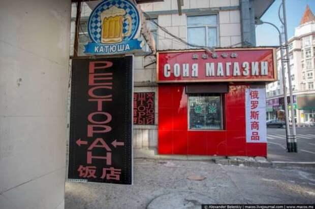 Прикольные вывески. Подборка chert-poberi-chert-poberi-47480503042020-6 картинка chert-poberi-47480503042020-6