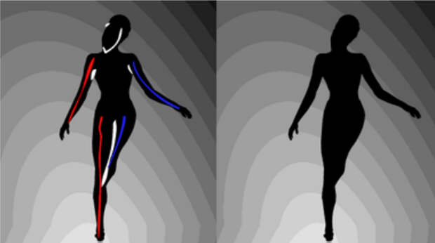 Тест-иллюзия с балериной: какое из полушарий мозга у вас больше развито