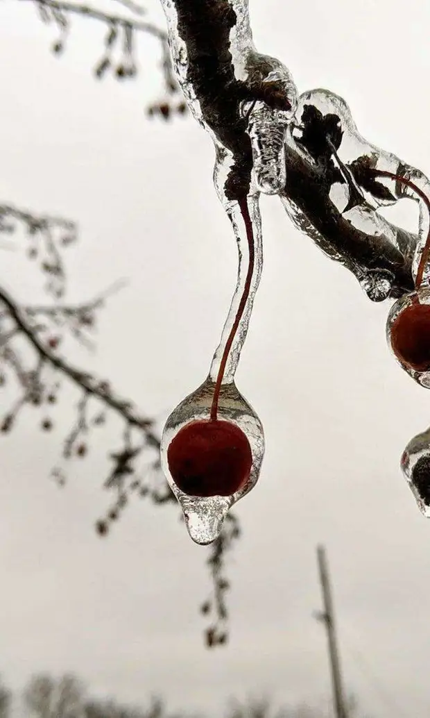 25 интересных и познавательных снимков со всего мира, которые наверняка вы увидите впервые 