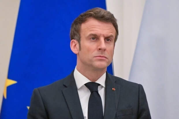Макрон сравнил НАТО с лягушкой без мозга, реагирующей лишь рефлексами