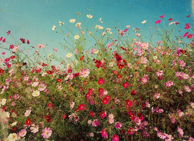 Кругосветка по Южной Корее. День первый southkorea36 Кругосветка по Южной Корее. День первый