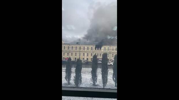 Video: арр.mp4