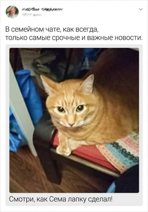 www.vsyako.net