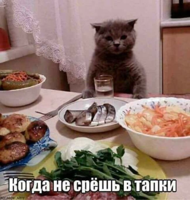 Народный юмор в веселых фото настроение, фото, юмор