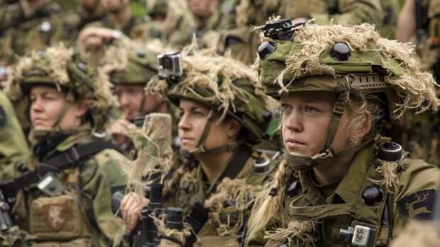 Скандинавы пристыдили молодых немцев: те совсем не рвутся воевать с Россией