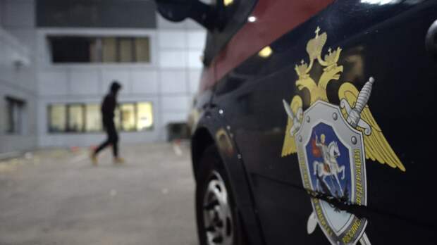 RT: в квартире в Смоленске с девочкой и похитителем находилась его сожительница