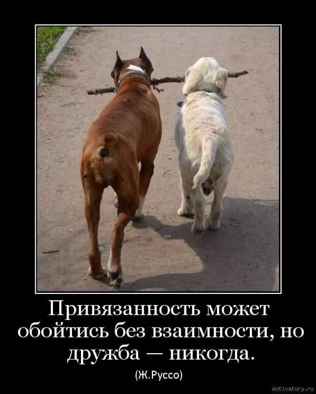 Прикольные демотиваторы с надписями. Подборка chert-poberi-dem-chert-poberi-dem-30580603092020-13 картинка chert-poberi-dem-30580603092020-13