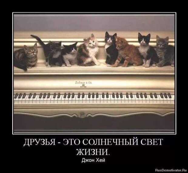 Прикольные демотиваторы с надписями. Подборка chert-poberi-dem-chert-poberi-dem-45580603092020-16 картинка chert-poberi-dem-45580603092020-16