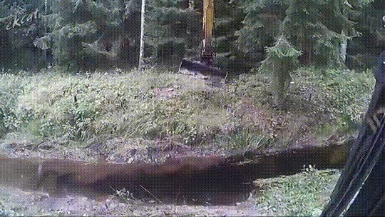 80 lvl, 80 уровень, gif, мастерство, профессионализм