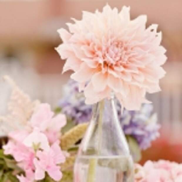 delightful-dahlias-in-floristic-ideas-mini1-6.jpg