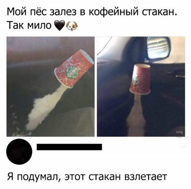 19 случайных смешных фото для хорошего настроения