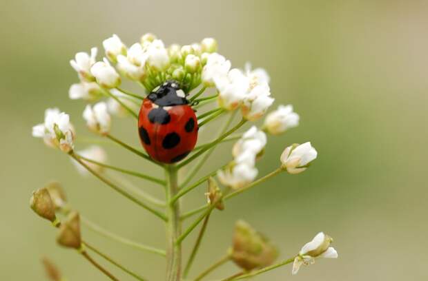 Есть только миг между прошлым и будущем... Есть только миг между прошлым и будущем...
