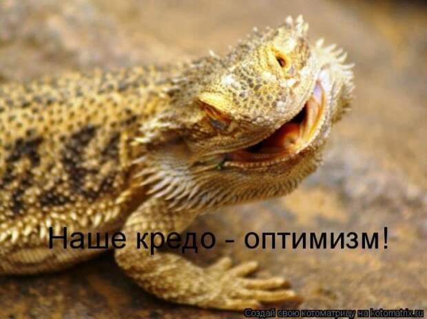 Фотохостинг без регистрации imageuploads.ru - Comical Animals-0870