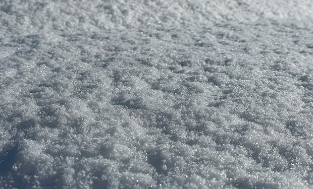 Источник фото: Unsplash