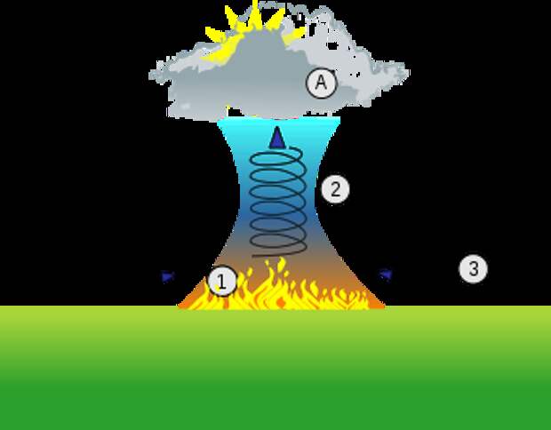 File:Firestorm thermal column.svg