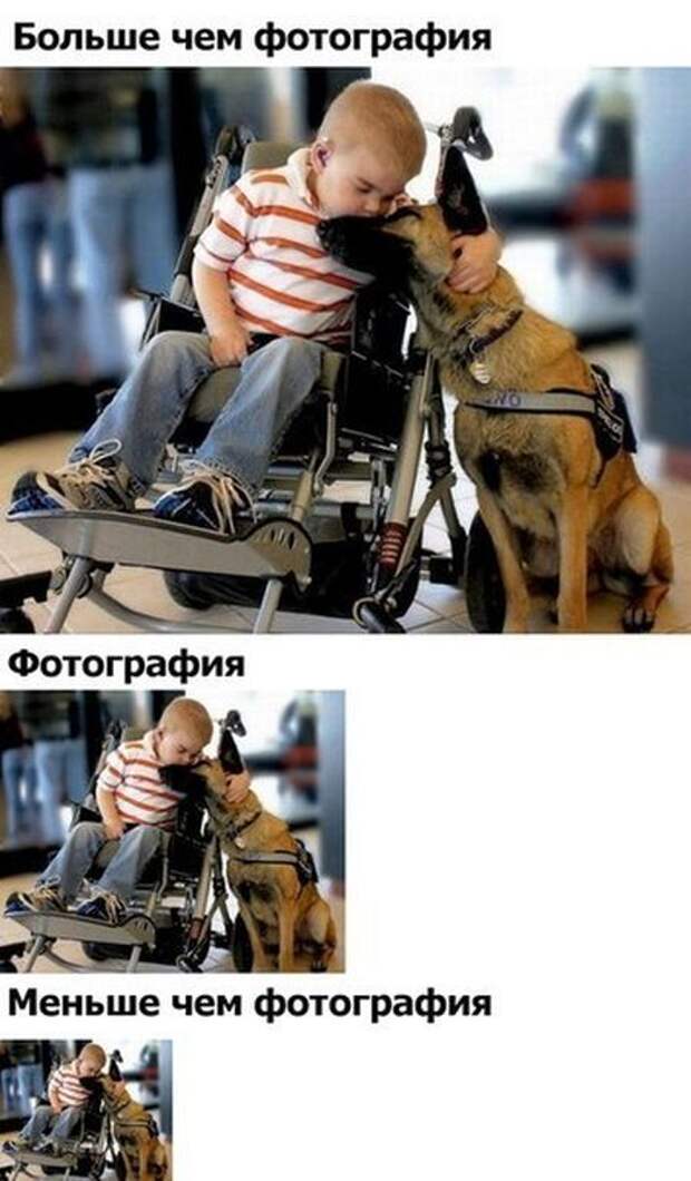 Прикольные картинки