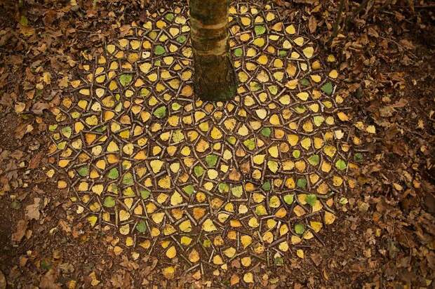 James-Brunt-Natural-Materials-Land-Art-England