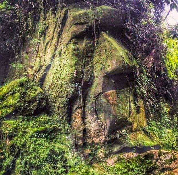 Огромное каменное лицо в джунглях указывает путь к великому городу древнейшей цивилизации